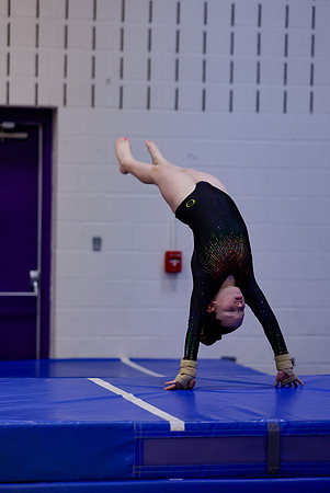 _MS_0031