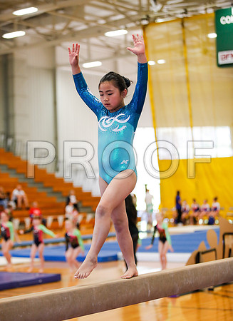 _61_4993