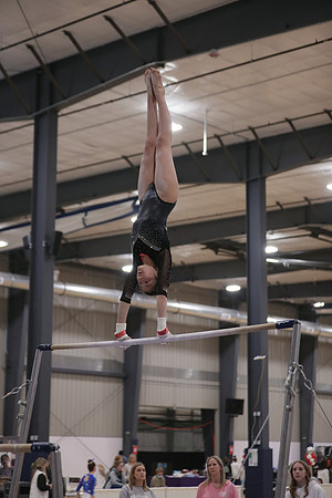 JMS_3015