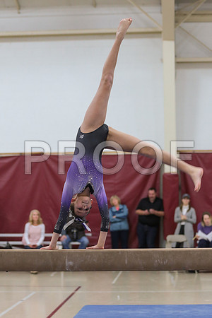 j3687297