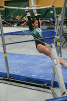 Delaney H