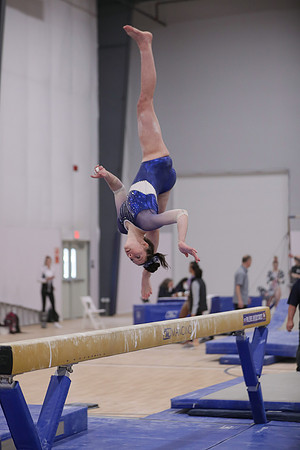 JMS_3559
