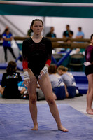 Anslee T