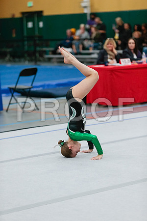 _60_2513