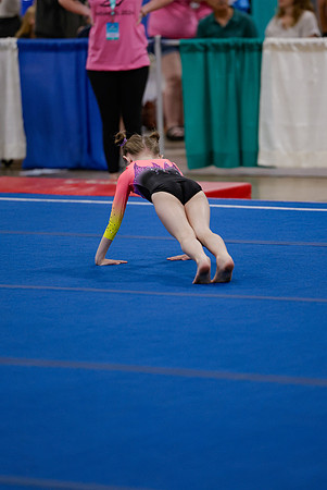 _MS_0037 (2)