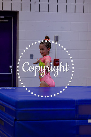 _MS_0017