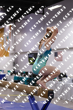 _29A0100
