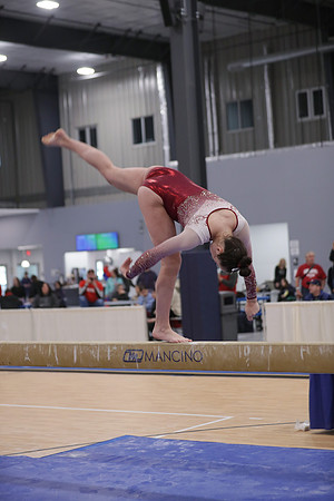 JMS_8828