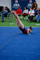 Taylor K