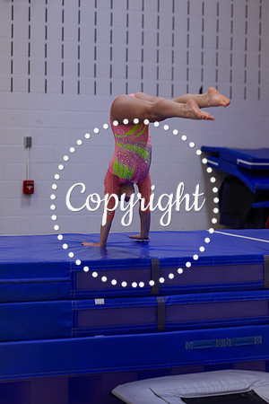 _MS_0003