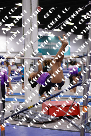 _29A0019