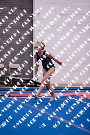 _06I0068