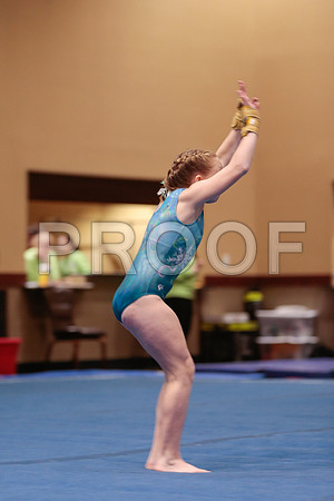 1__81_9633