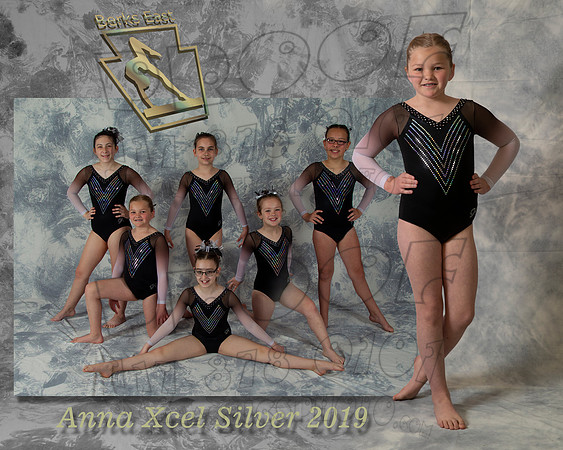 Anna Xcel Silver - 2019