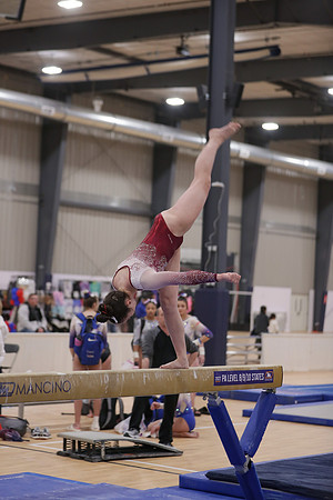 JMS_8887