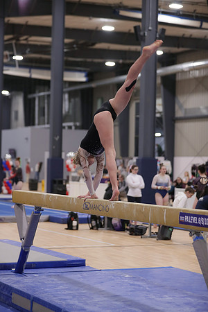 JMS_5878