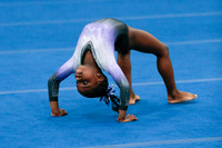 Giavrielle L.