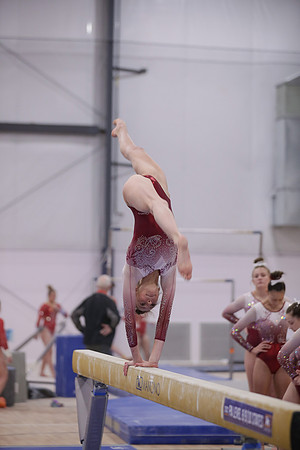 JMS_1259