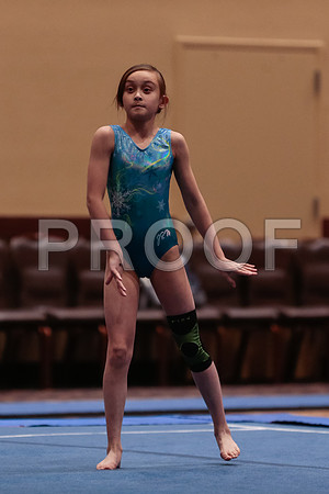_76_3885
