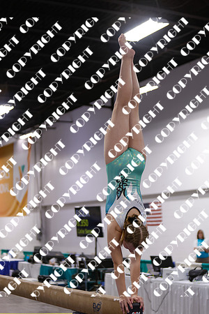 _29A0085