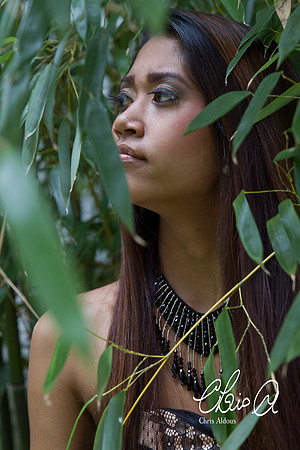 Tia Tek 13