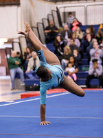 Amaya B