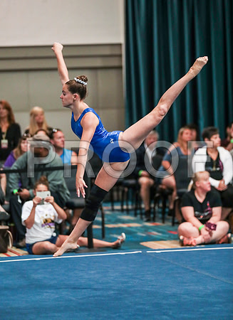 x61_2231