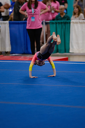 _MS_0034 (2)