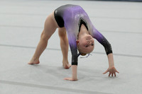 Ashley P.