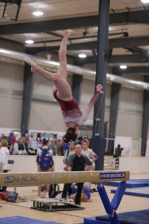 JMS_8884