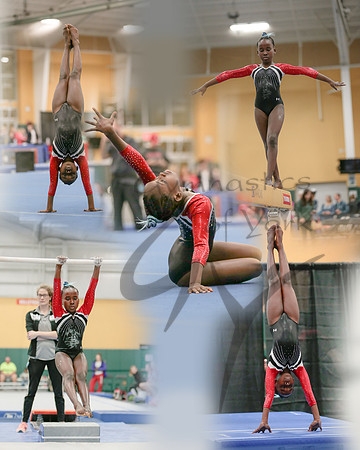 MHCollage