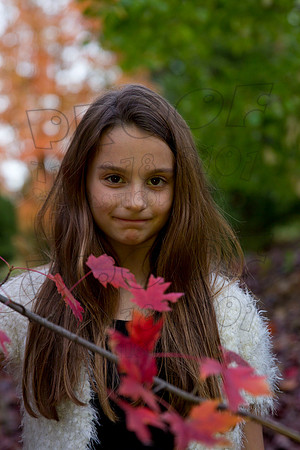 _HR10979