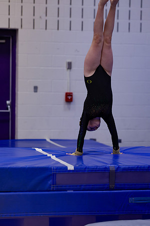 _MS_0028