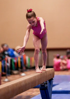 j3688239