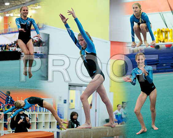 SammiScollage