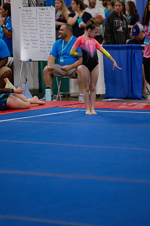 _MS_0016 (2)