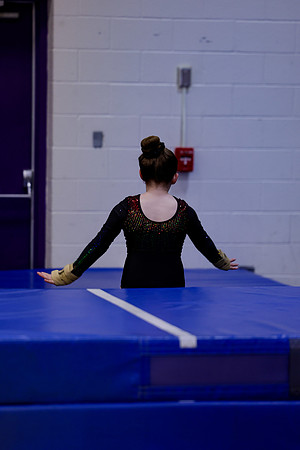 _MS_0037