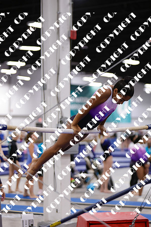 _29A0033