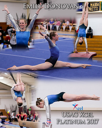 EmilyDcollage2
