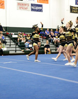 Vipers Toxic Sr CoEd 3